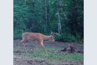14523 Bistram Road, Grantsburg, WI 54840 - Photo 26