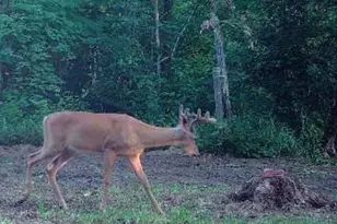 14523 Bistram Rd, Grantsburg, WI 54840 - Photo 26