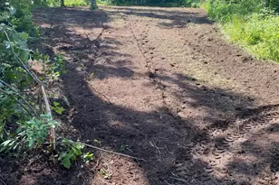 14523 Bistram Rd, Grantsburg, WI 54840 - Photo 12