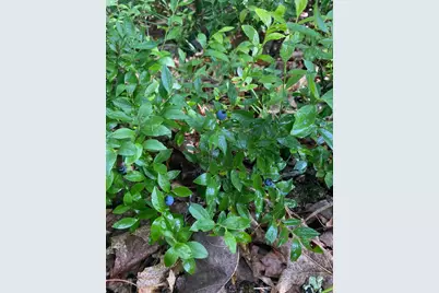 14523 Bistram Road, Grantsburg, WI 54840 - Photo 8