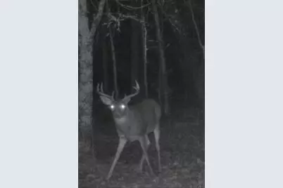 14523 Bistram Road, Grantsburg, WI 54840 - Photo 28