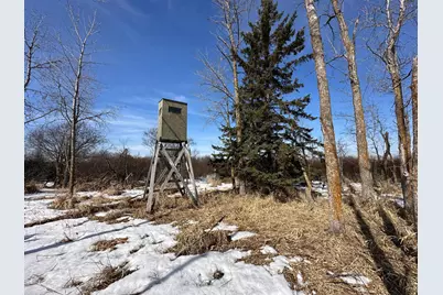 47691- 635th Avenue, Sebeka, MN 56477 - Photo 30
