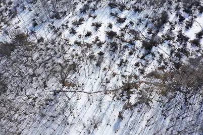 47691 635th Avenue, Sebeka, MN 56477 - Photo 26