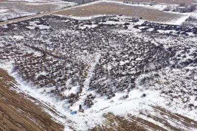 47691 635th Avenue, Sebeka, MN 56477 - Photo 6