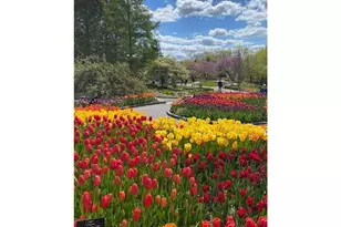 895 Laurel Ct, Chaska, MN 55318 - Photo 28