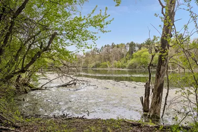 2810 Nybeck Avenue S, Afton, MN 55001 - Photo 10