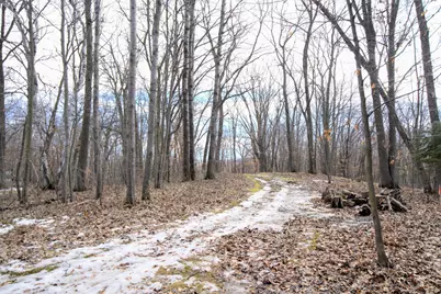 33456 Leisure Drive, Cushing, MN 56443 - Photo 8