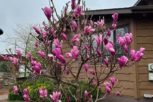 1730 Stone Ave, Benson, MN 56215 - Photo 48