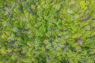 3365 State 200 NE, Remer, MN 56672 - Photo 52