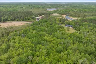 3365 State 200 NE, Remer, MN 56672 - Photo 50
