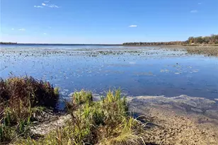 Tbd 490th Ave, New York Mills, MN 56567 - Photo 1