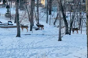 1905 Glendale Hills Dr NE, Rochester, MN 55906 - Photo 30