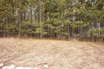 32656 310th Street, Browerville, MN 56438 - Photo 12