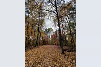 Tbd Voyageurs Trail, Biwabik, MN 55705 - Photo 8