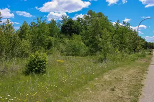 Tbd 7th St, Nashwauk, MN 55769 - Photo 1