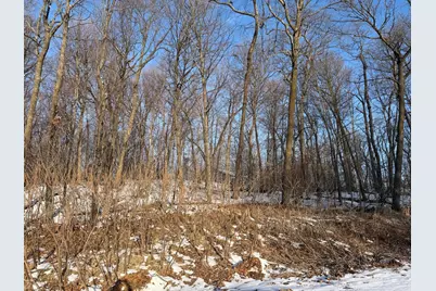 Lots 120 & 121 Earle Brown Drive, Garrison, MN 56450 - Photo 4