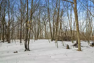 51132 340th St, New York Mills, MN 56567 - Photo 54