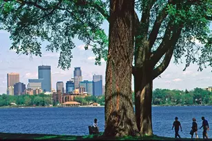 3145 Dean Ct, Minneapolis, MN 55416 - Photo 74