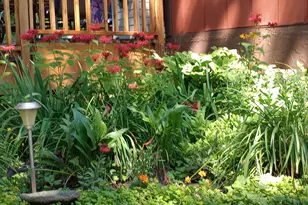 1305 Spruce Pl, Mound, MN 55364 - Photo 44