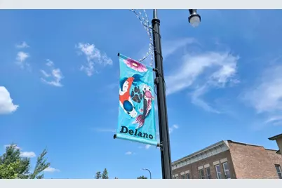 1009 Legacy Drive, Delano, MN 55328 - Photo 54