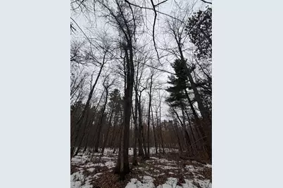 Xxxxx County Rd H, Scott Township, WI 54830 - Photo 4