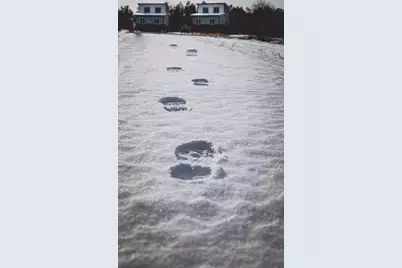 393 W Avenue, Nevis, MN 56467 - Photo 24