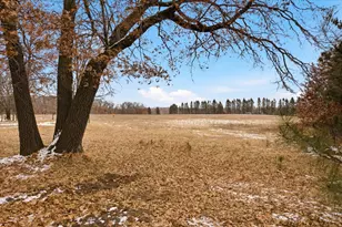 25431 Larch St NW, Isanti, MN 55040 - Photo 14