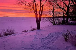 44461 Conifer St, Aitkin, MN 56431 - Photo 34