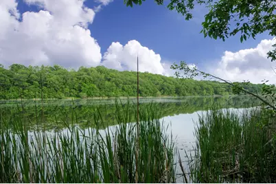 1465 Island Drive, Golden Valley, MN 55422 - Photo 86