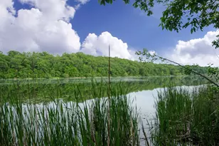 1465 Island Dr, Golden Valley, MN 55422 - Photo 86