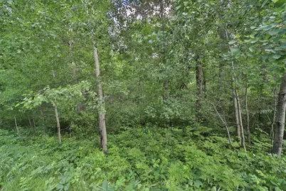 Tbd Percheron Drive, Breezy Point, MN 56472 - Photo 6