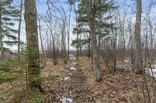 1899 Fern Trail NE, Remer, MN 56672 - Photo 42