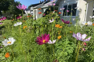 3832 42nd Ave S, Minneapolis, MN 55406 - Photo 30