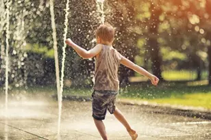 986 Big Woods Dr, Delano, MN 55328 - Photo 52