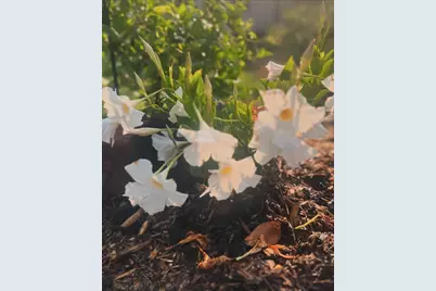 875 161st Street, Hammond, WI 54015 - Photo 52