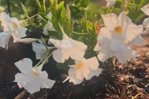 875 161st St, Hammond, WI 54015 - Photo 52