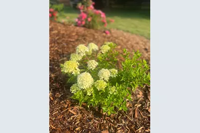 875 161st Street, Hammond, WI 54015 - Photo 76