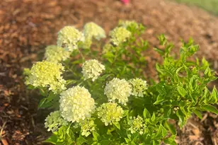 875 161st St, Hammond, WI 54015 - Photo 76