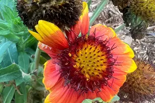 875 161st St, Hammond, WI 54015 - Photo 82