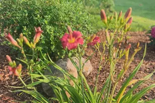 875 161st St, Hammond, WI 54015 - Photo 54