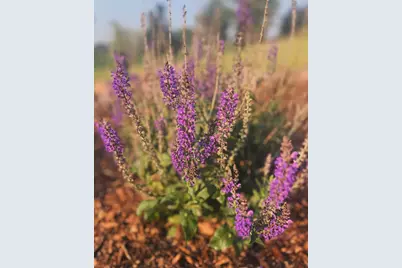 875 161st Street, Hammond, WI 54015 - Photo 50