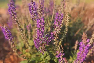 875 161st St, Hammond, WI 54015 - Photo 50