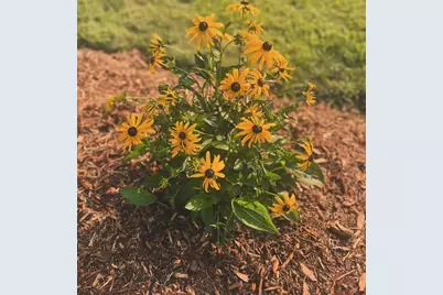 875 161st Street, Hammond, WI 54015 - Photo 56