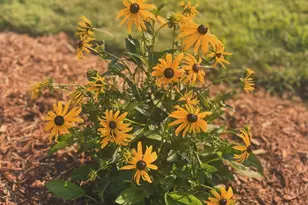 875 161st St, Hammond, WI 54015 - Photo 56