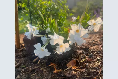 875 161st Street, Hammond, WI 54015 - Photo 74