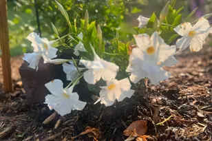 875 161st St, Hammond, WI 54015 - Photo 74