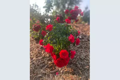 875 161st Street, Hammond, WI 54015 - Photo 78