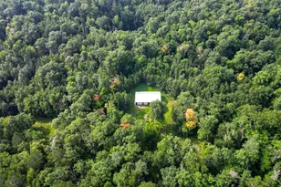 Tbd Co Hwy 39, Osage Township, MN 56570 - Photo 1