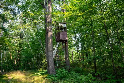 Tbd Co Hwy 39, Osage Township, MN 56570 - Photo 38