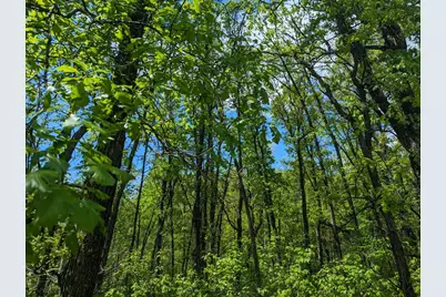 L44 B1 Navaho Trail, Breezy Point, MN 56472 - Photo 2